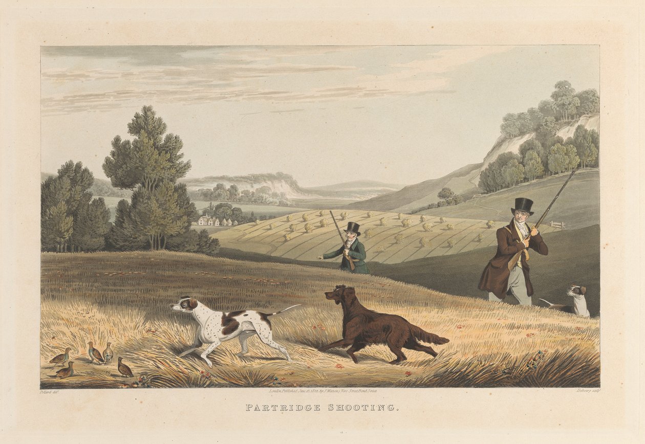 Rebhuhnjagd von Matthew Dubourg