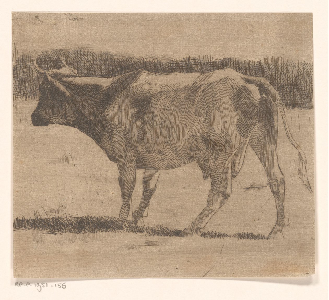 Kuh auf einer Weide von Maurits van der Valk