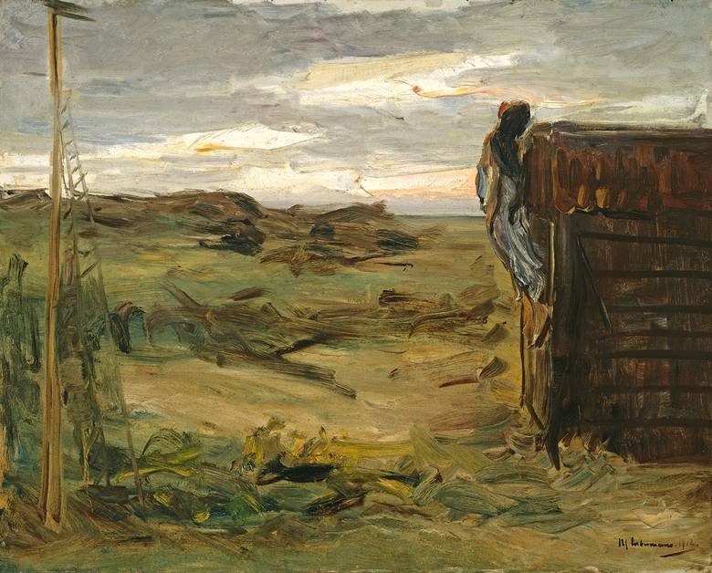 Strand mit Schuppen von Max Liebermann