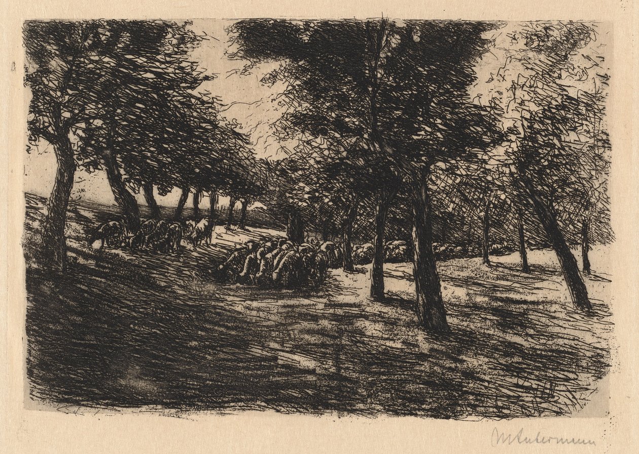 Schafherde unter Bäumen von Max Liebermann