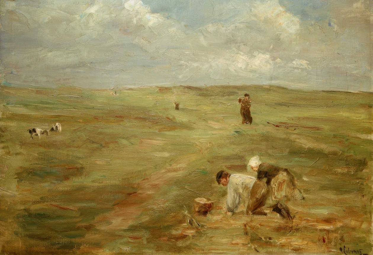 Kartoffelbuddler in den Dünen von Zandvoort von Max Liebermann