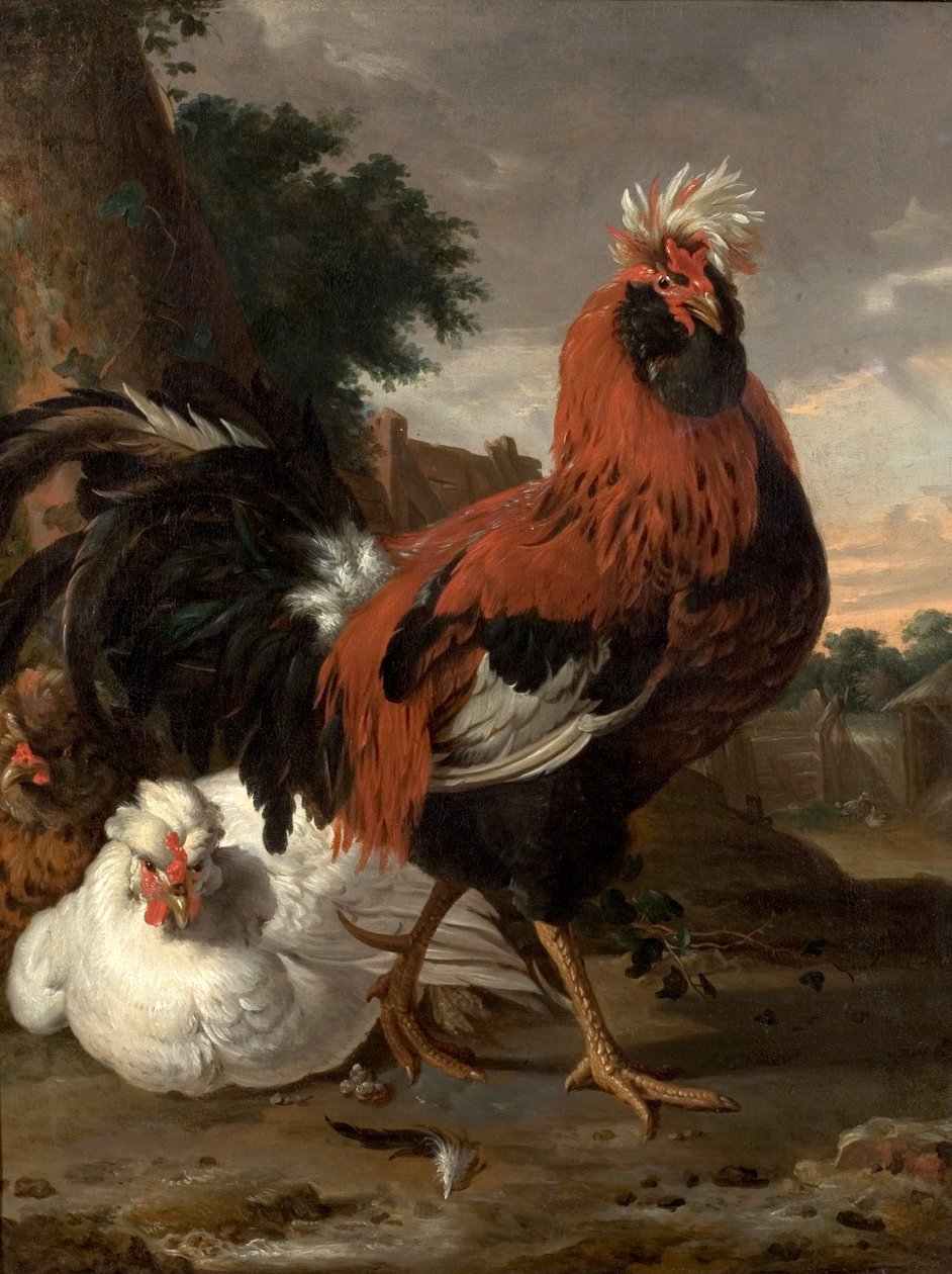 Geflügel von Melchior de Hondecoeter