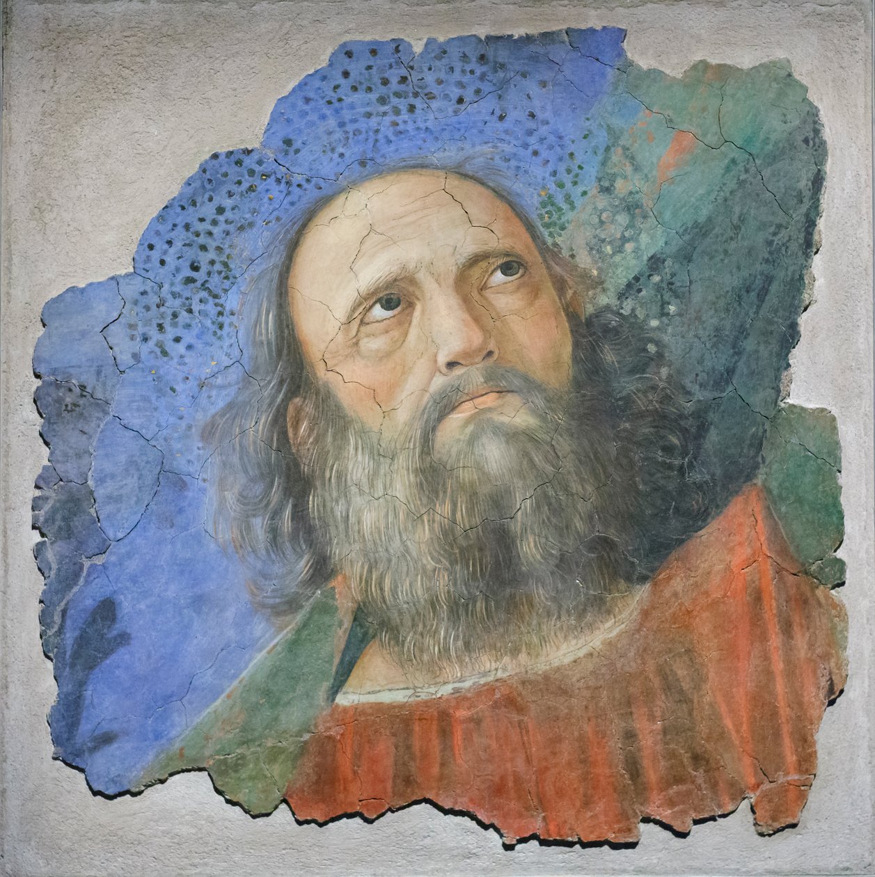 Apostelkopf, ca. 1480 von Melozzo da Forli