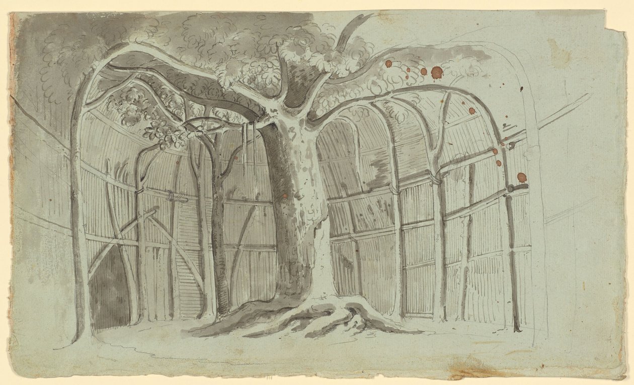 Rohhütte um einen Baum von Michael Mayr