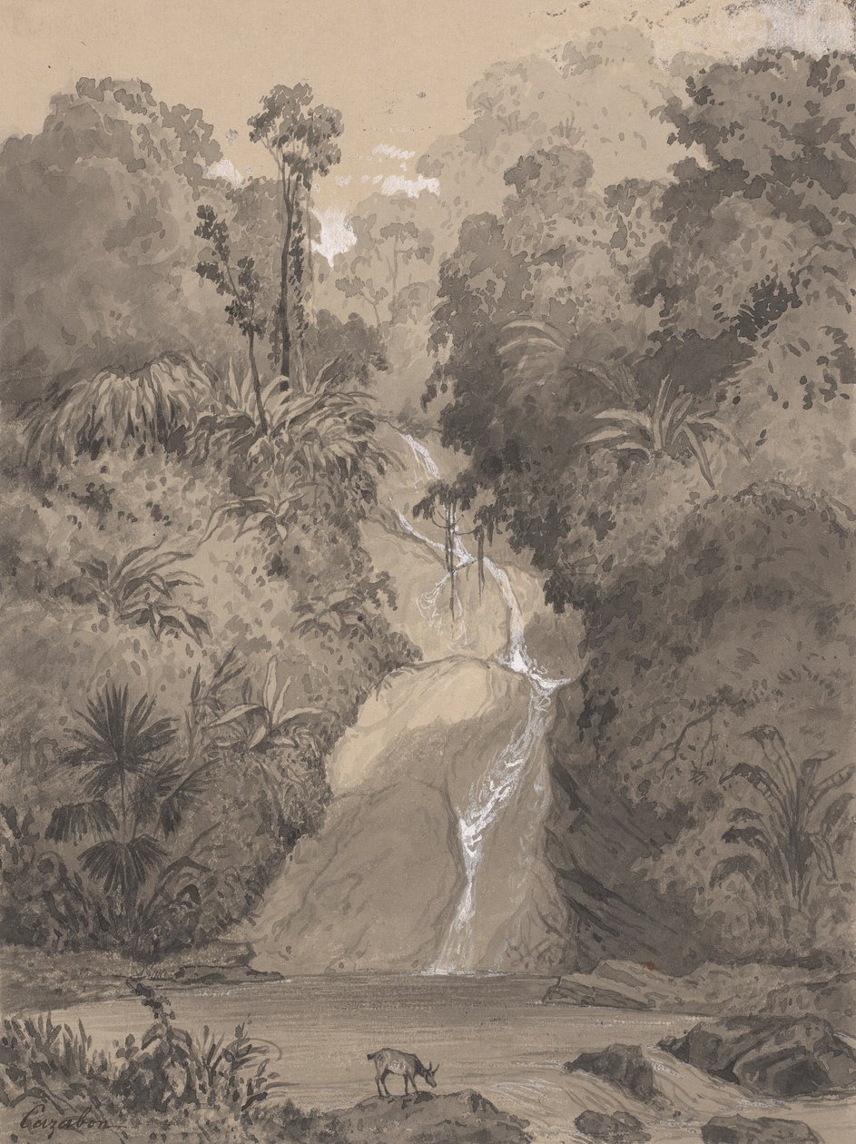 Wasserfall bei St. Anns von Michel Jean Cazabon