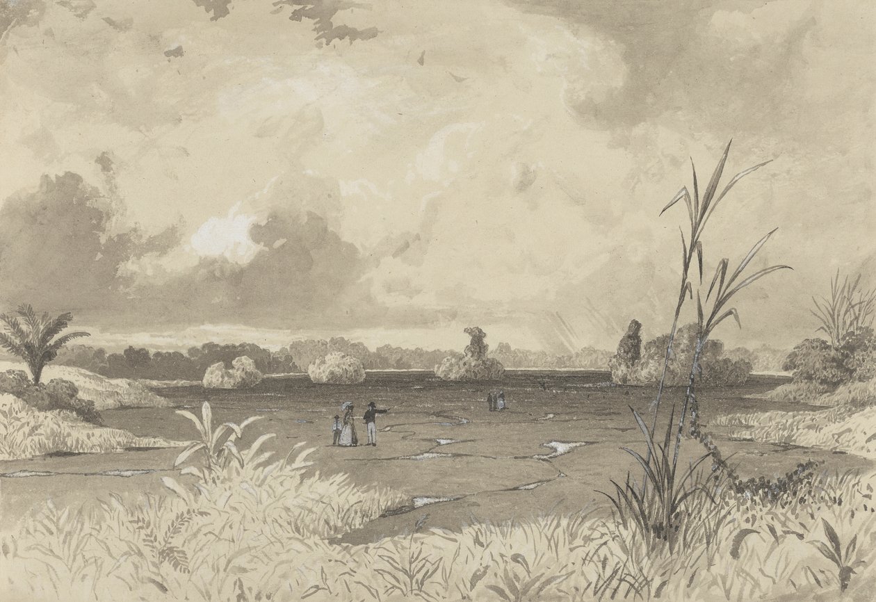Der Pechsee von Michel Jean Cazabon