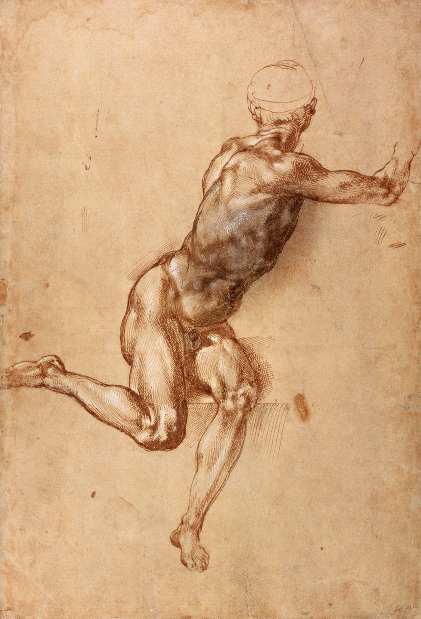 Sitzender männlicher Akt, der sich umdreht, um 1505 von Michelangelo Buonarroti