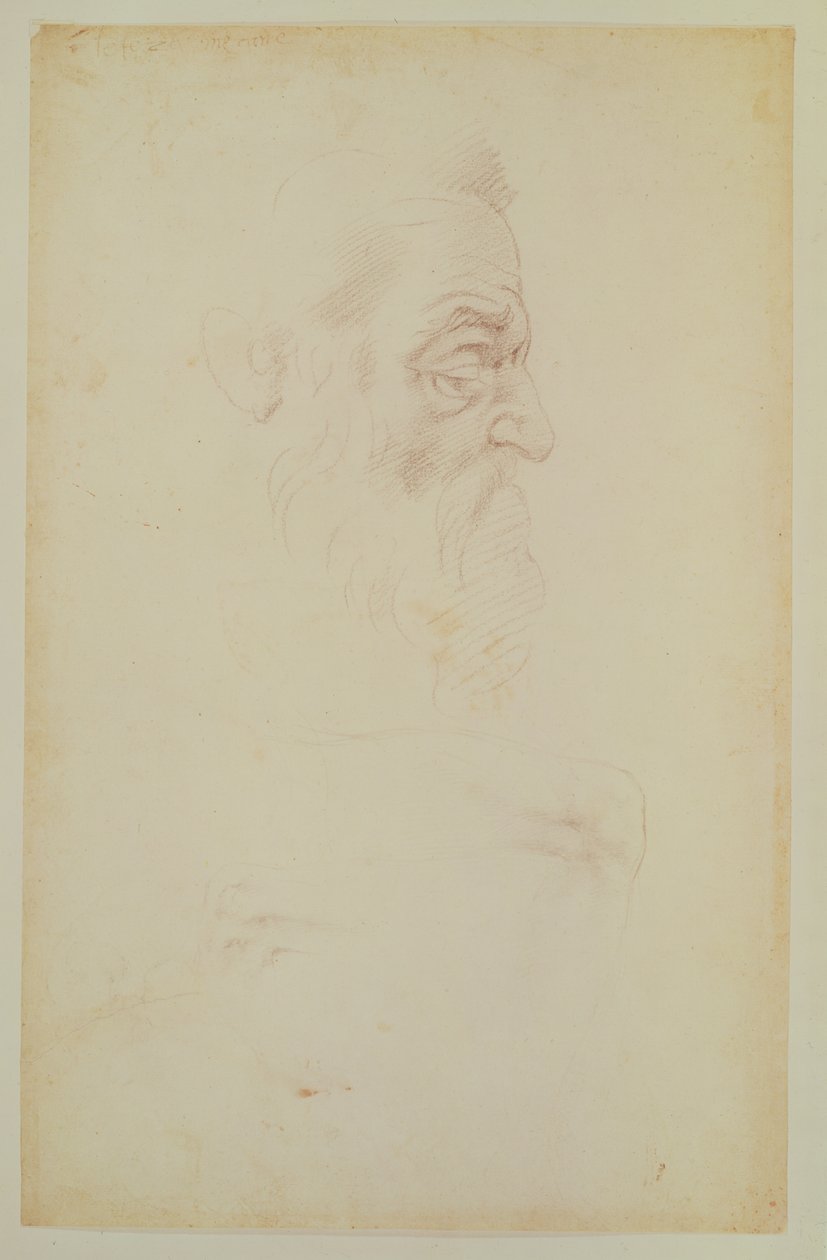 Skizze eines männlichen Kopfes und zwei Beine (Kohle auf Papier) von Michelangelo Buonarroti