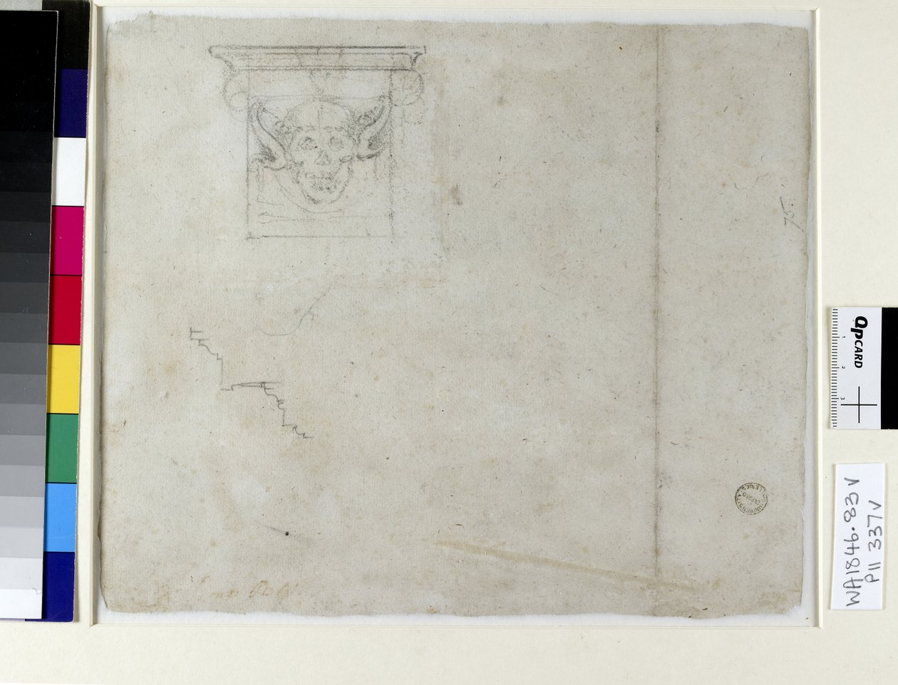 Skizze eines Ornaments für das Grab von Papst Julius II., 16. Jahrhundert von Michelangelo Buonarroti