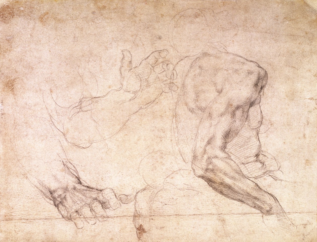 Studien von Händen und einem Arm (verso) von Michelangelo Buonarroti
