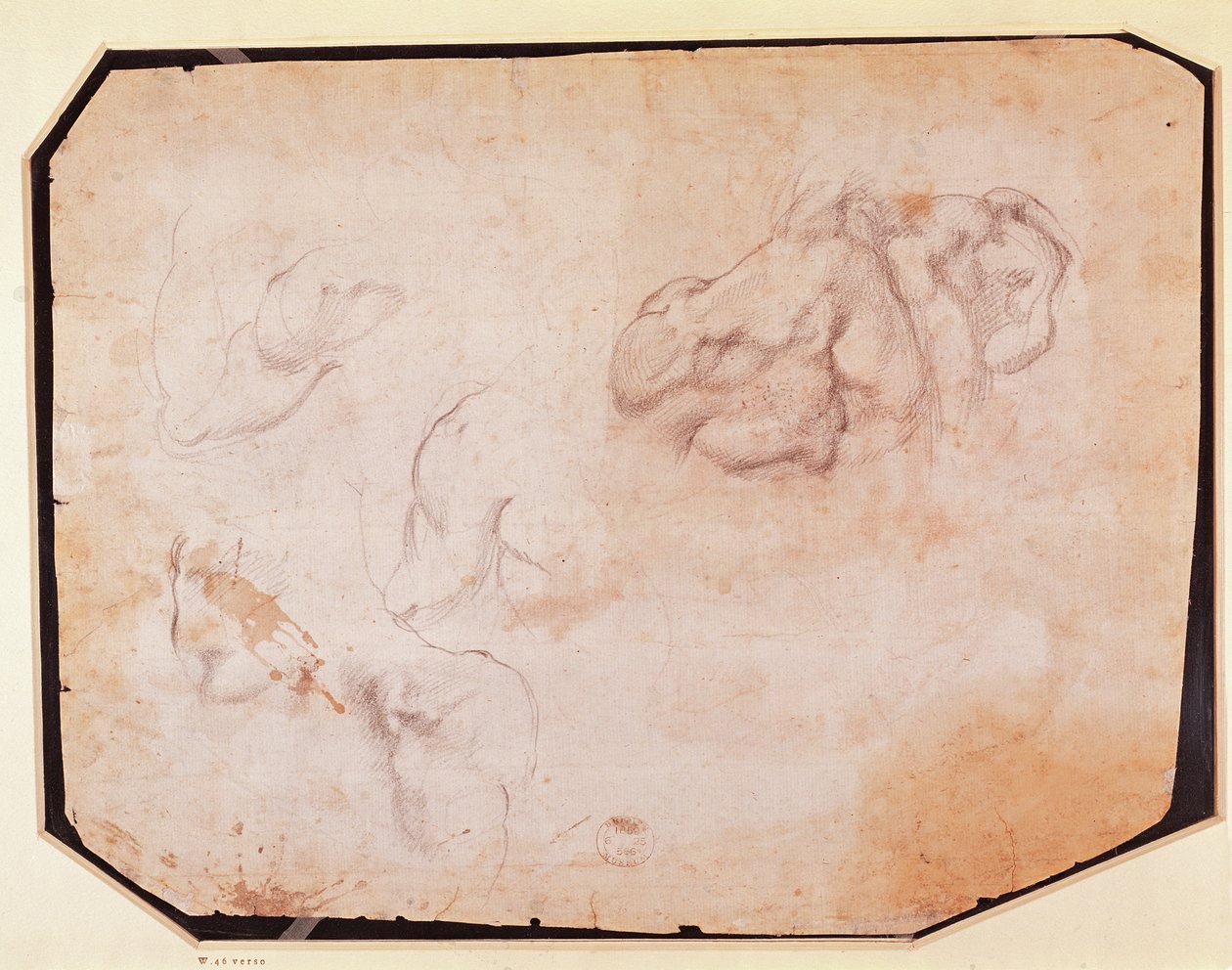 Studie von Muskeln (verso) von Michelangelo Buonarroti