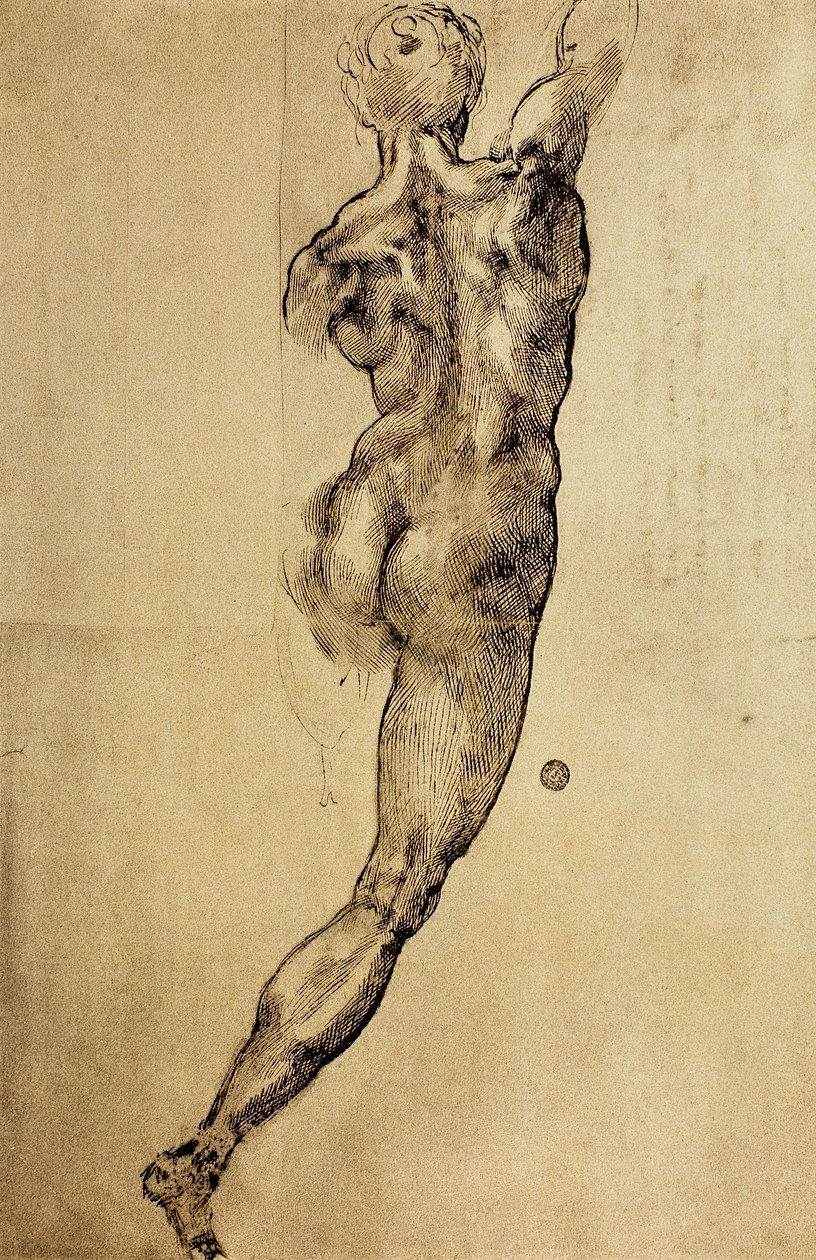 Studie einer virilen Figur von hinten gesehen, Zeichnung von Michelangelo. Casa Buonarroti, Florenz von Michelangelo Buonarroti