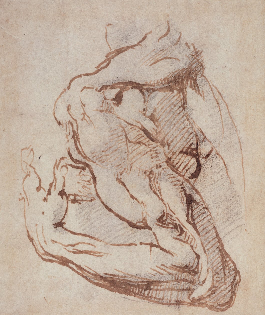Studie eines Arms von Michelangelo Buonarroti
