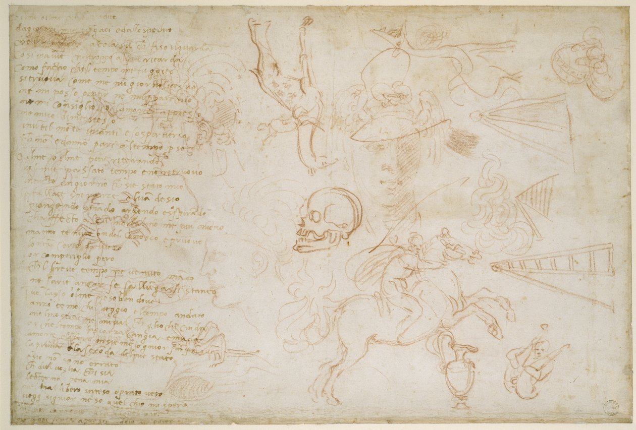 Studie von Köpfen und Tieren, ca. 1525 von Michelangelo Buonarroti