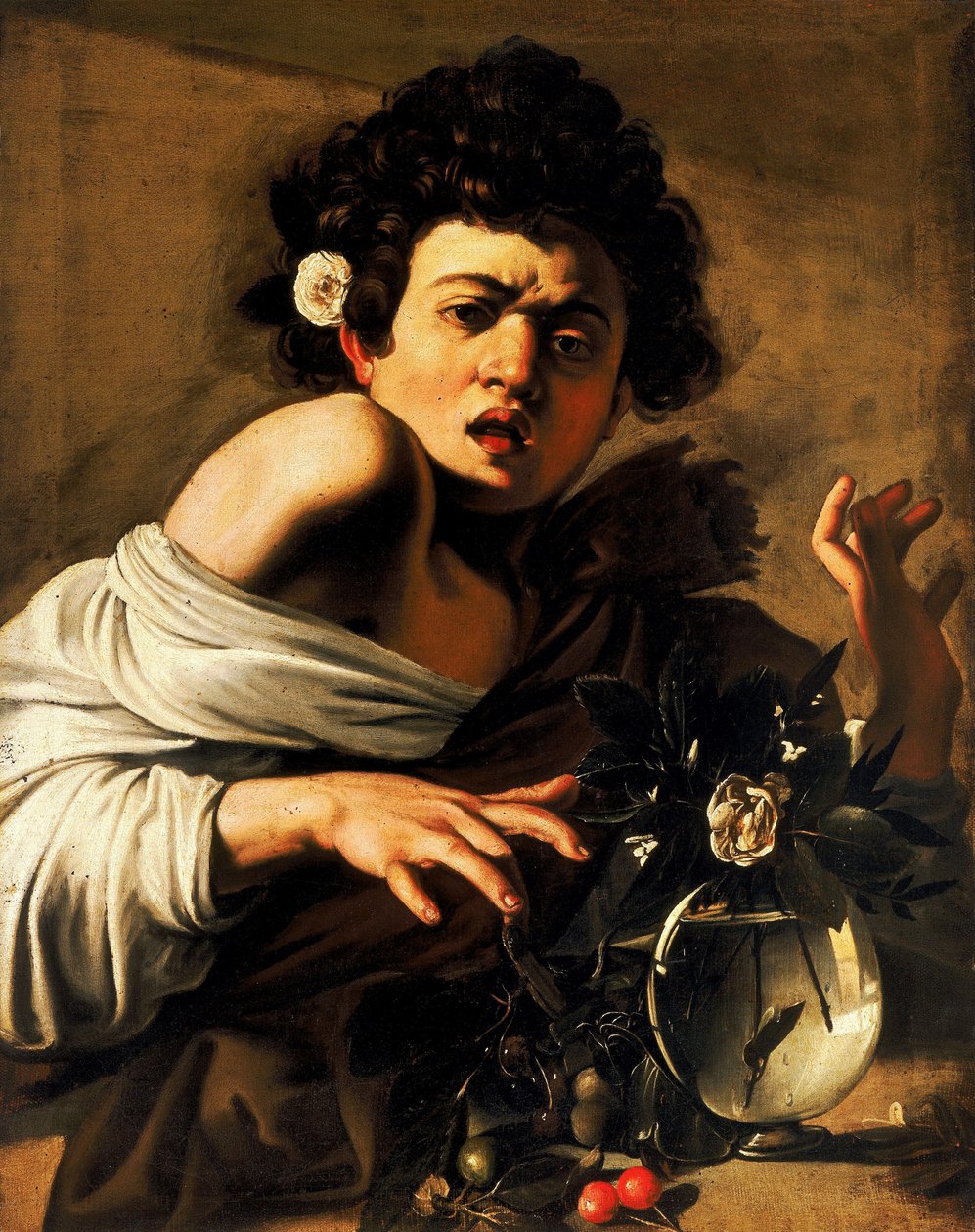 Junge, von einer Eidechse gebissen von Michelangelo Merisi Caravaggio