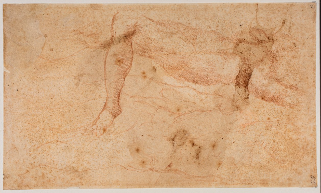 Studien von Aktfiguren von Michelangelo (after) Buonarroti