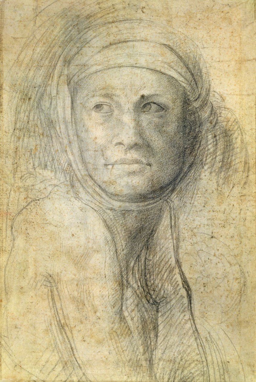 Kopf einer Frau von Michelangelo Buonarroti