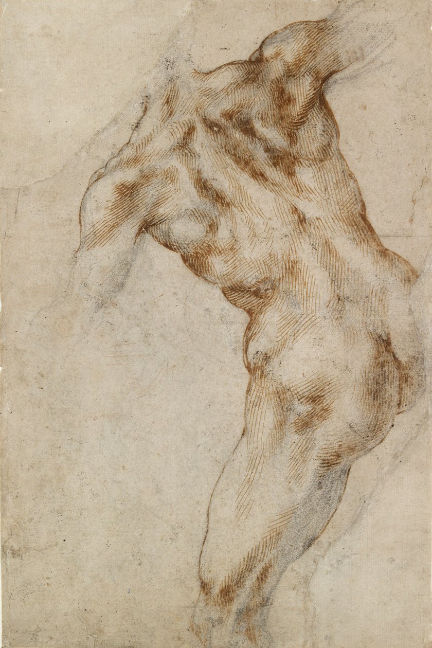 Männlicher Akt, frühes 16. Jahrhundert von Michelangelo Buonarroti