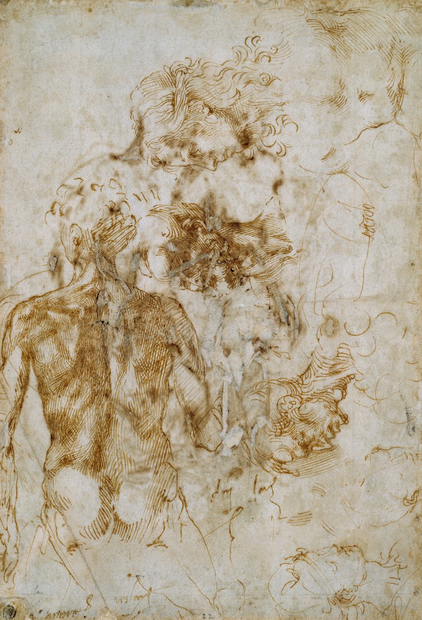 Verschiedene Figurenstudien von Michelangelo Buonarroti