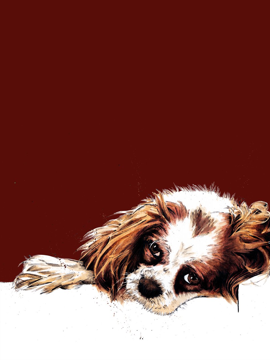 Meg der Spaniel auf Rotoxid von Mike Davis