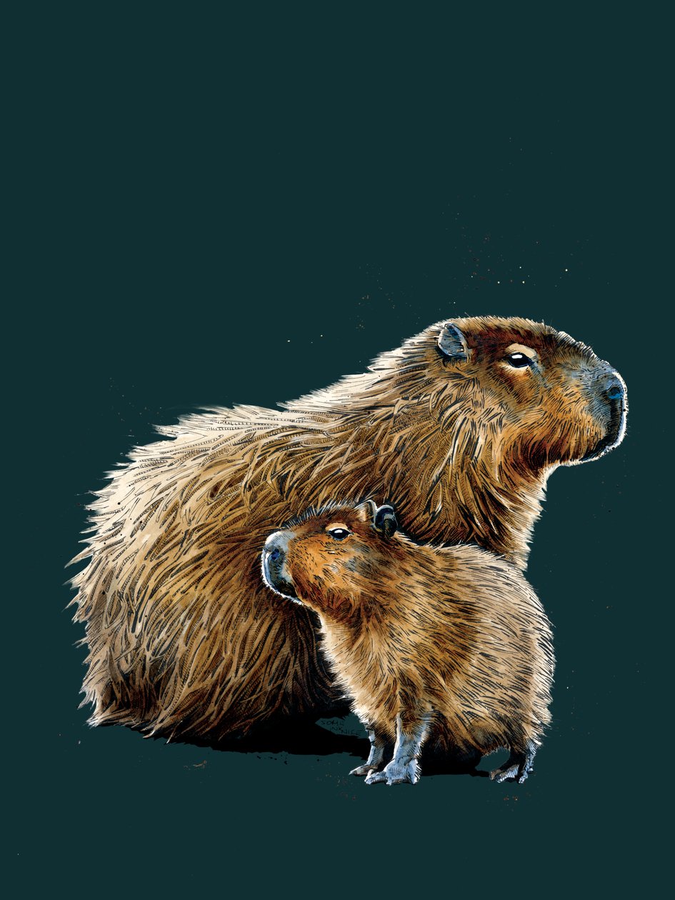 Die Capybaras auf Tiefem Cyan von Mike Davis