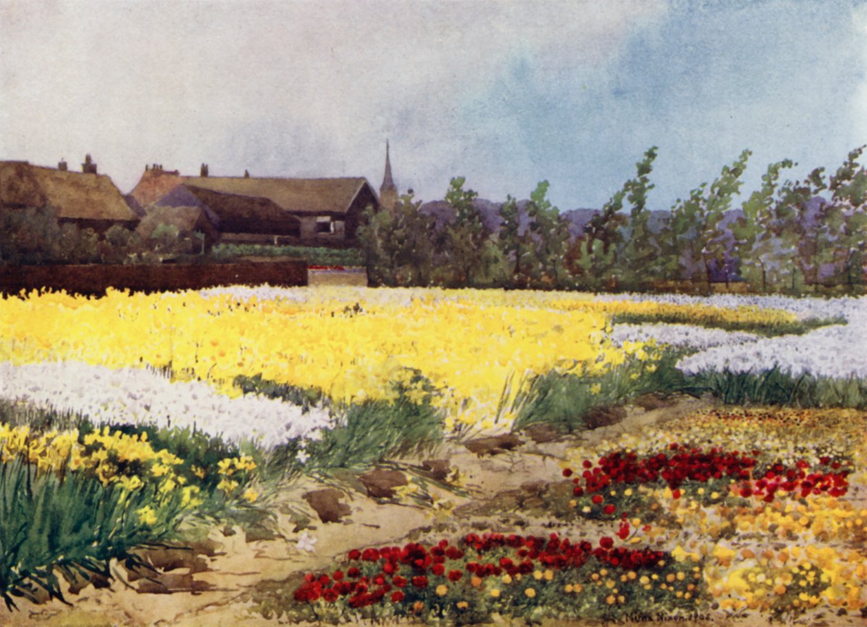 Eine Blumenzwiebel-Farm in der Nähe von Overveen von Mima Nixon