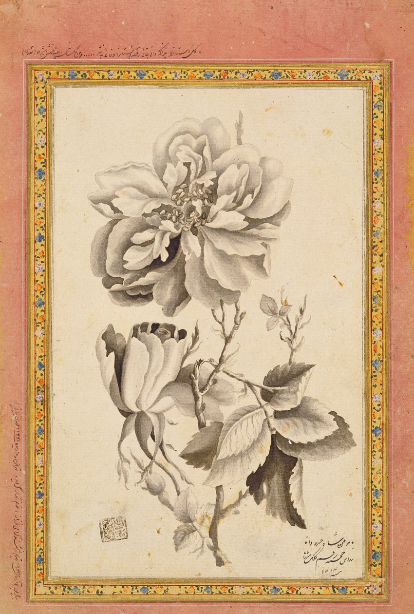 Rose, 1799-1800 von Mirza Baba