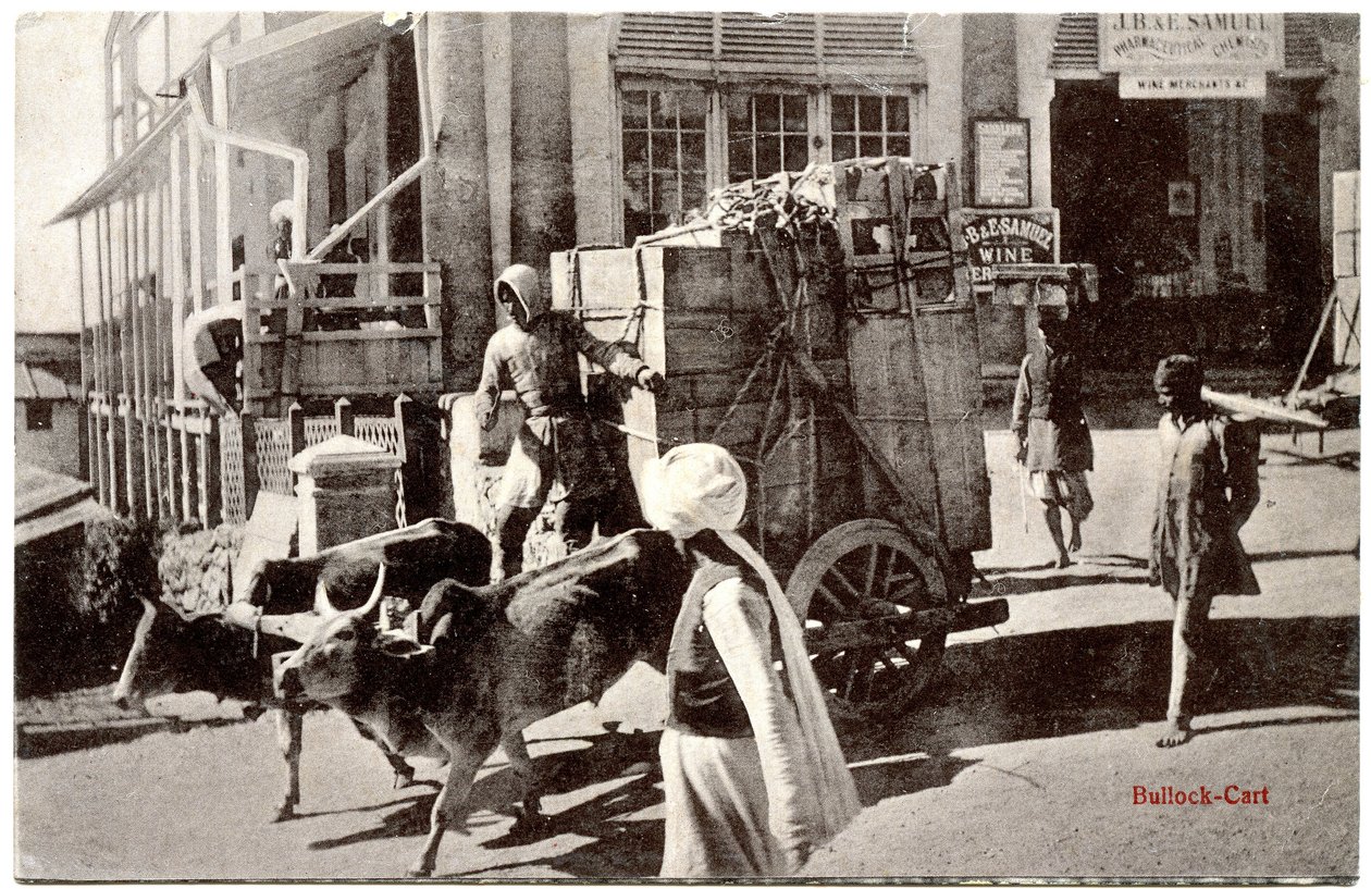 Ochsenkarren, ca. 1900-20 von Moorli Dhur and Sons