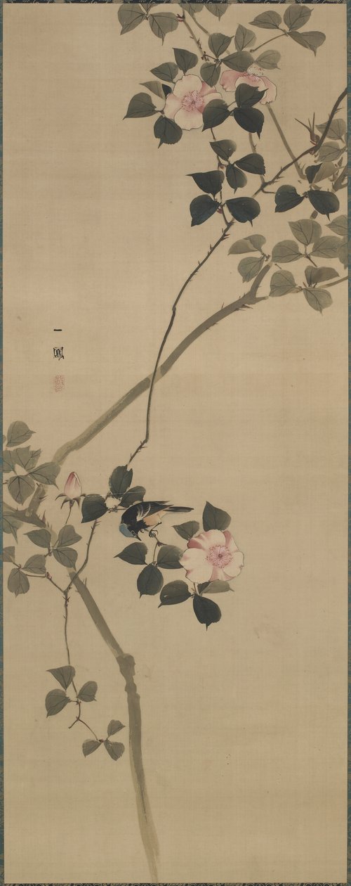 Wildrose und ein Vogel, Edo-Periode, 1615-1868 von Mori Ippo