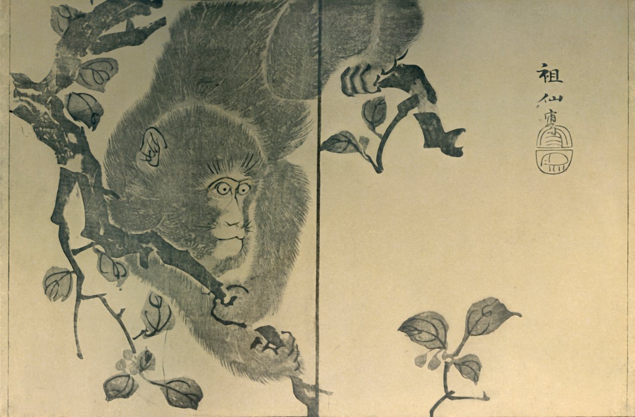 Affe, 1815, 1924 von Mori Sosen