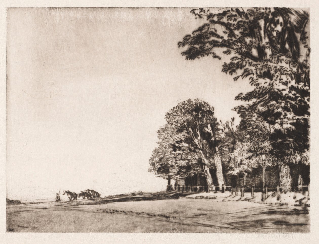 Hampstead Heath von Muirhead Bone