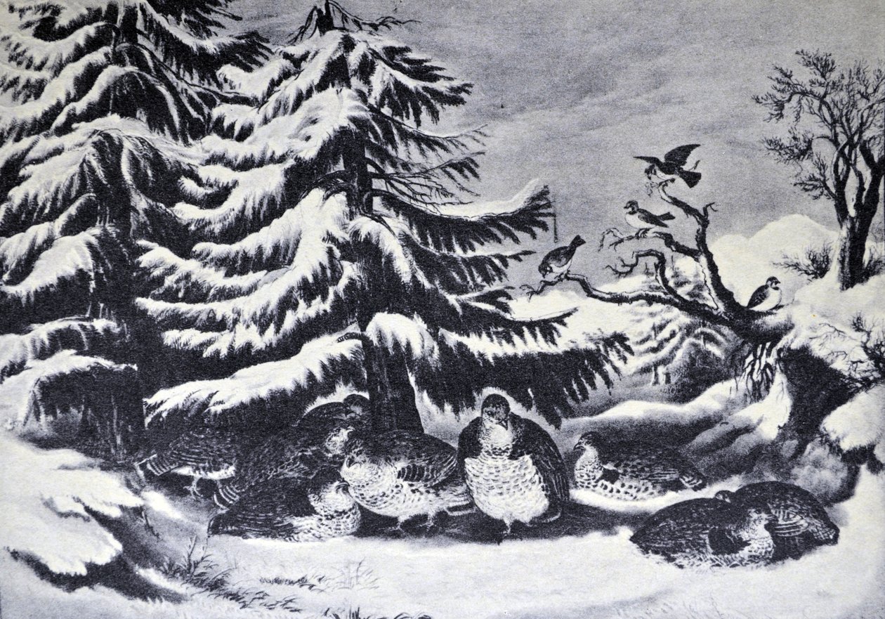 Eingeschneit, Raufußhühner im Winter von N. and Ives, J.M. Currier