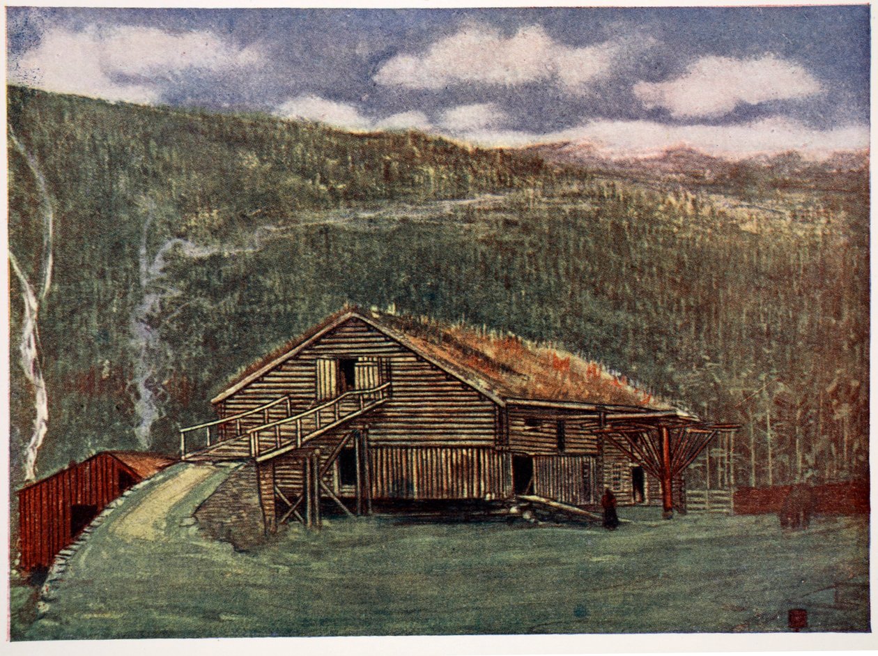 Bauernhaus und Mühle in Gjoba, 1905 von Nico Jungman