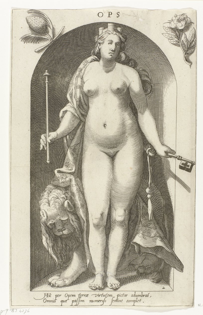 Ops von Nicolaas Braeu
