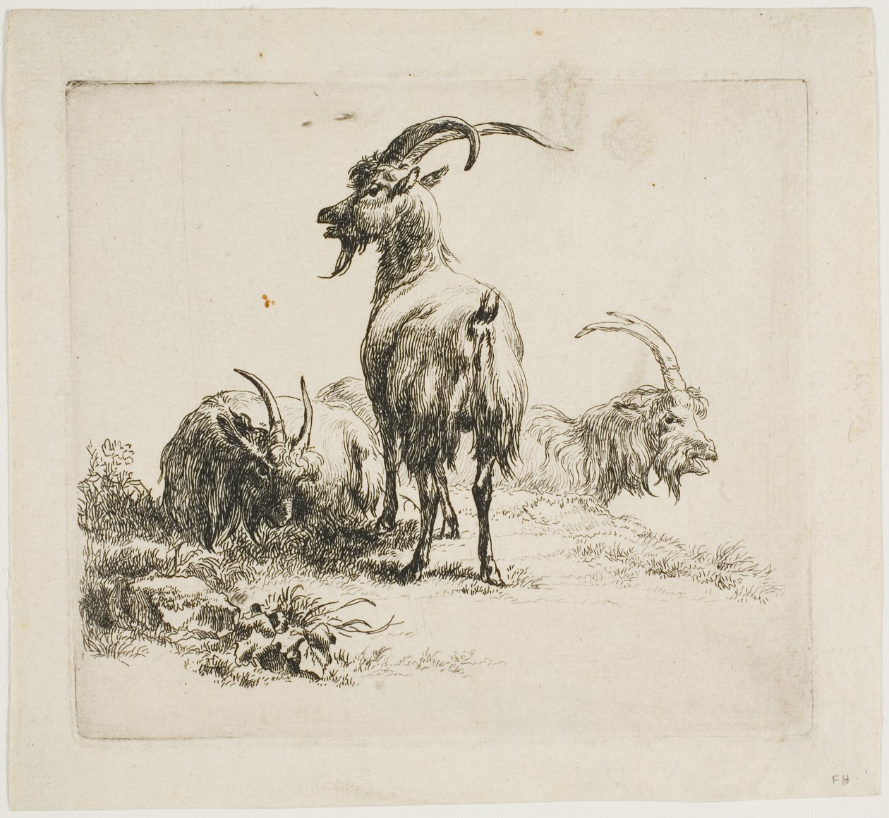 Ziegen, aus Verschiedene Tiere von Nicolaes Berchem