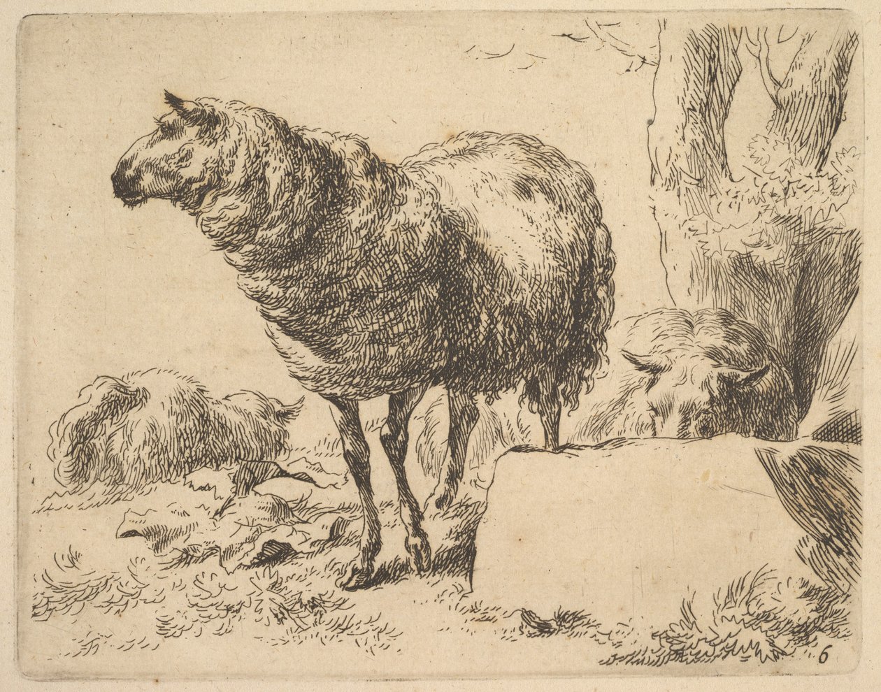 aus dem Set von Schafen von Nicolaes Berchem