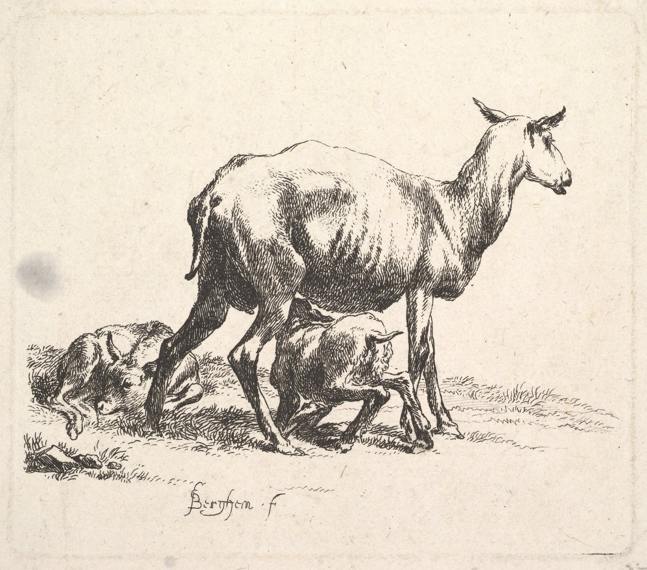 Schaf mit säugendem Lamm von Nicolaes Pietersz. Berchem
