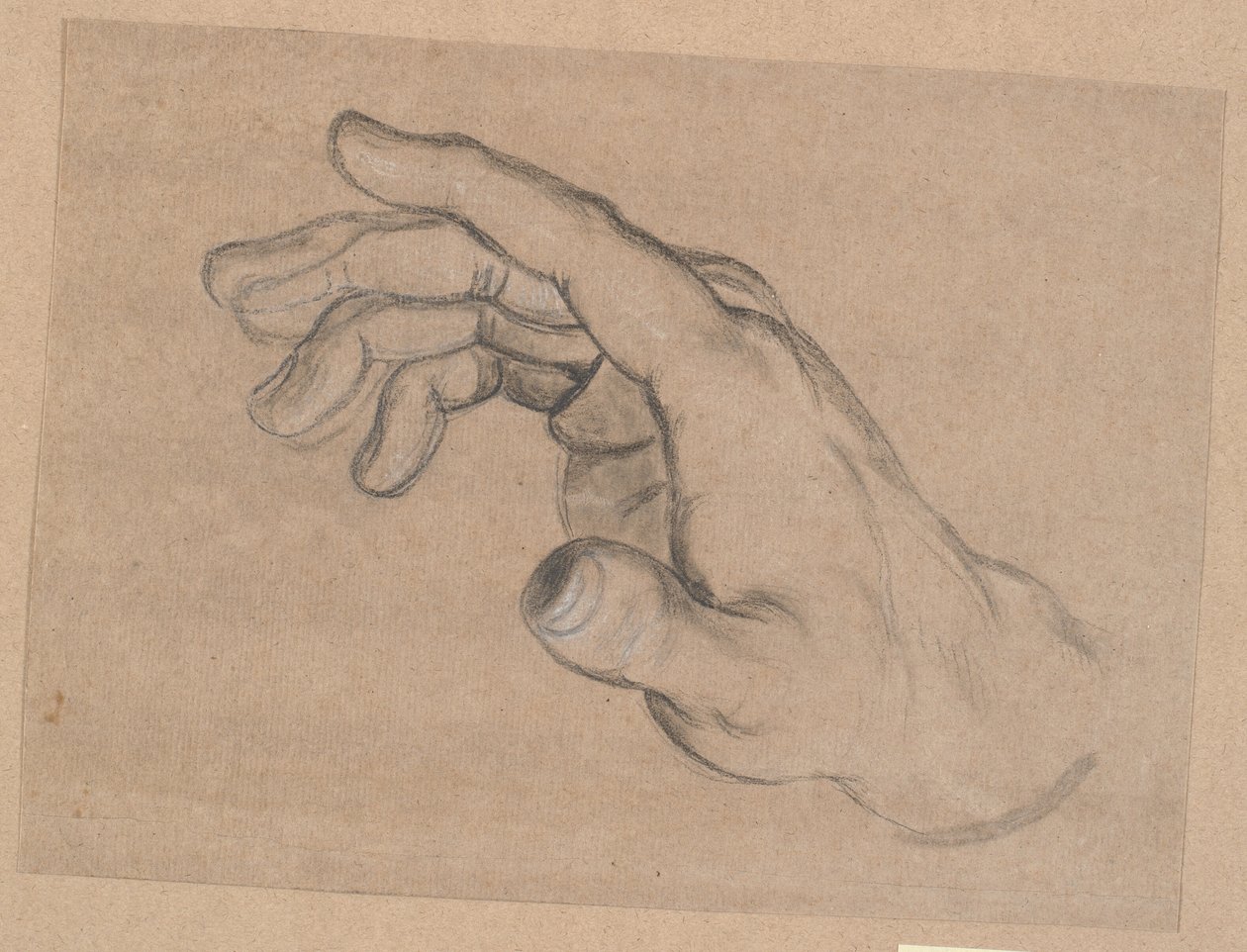 Studie einer Hand von Nicolai Abildgaard