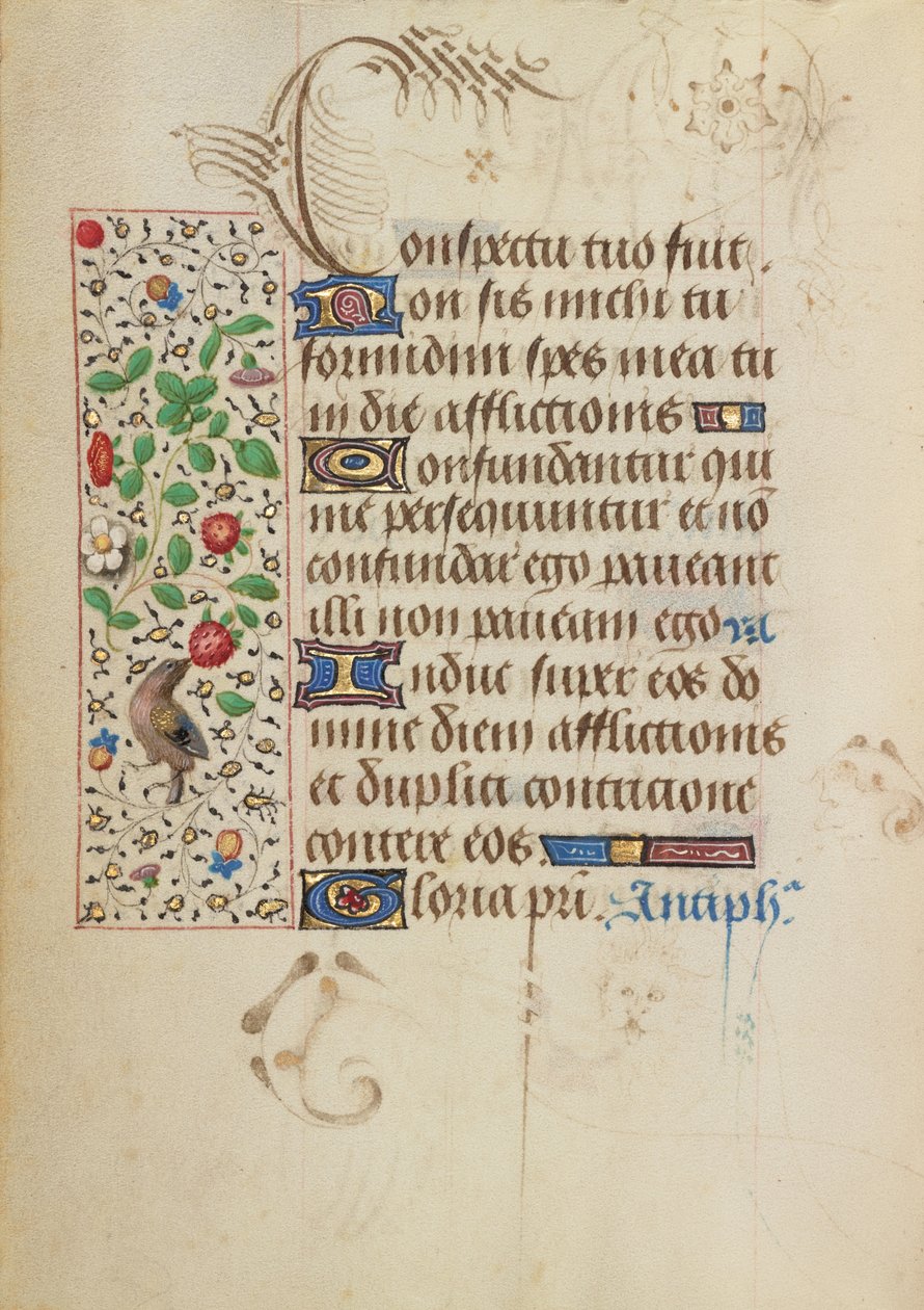 Dekorierte Textseite von Nicolas Spierinc