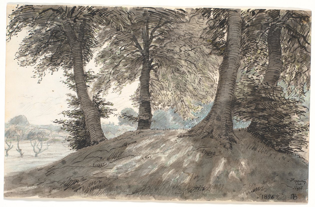 „Hoppehøj bei Nysø“ von Niels Skovgaard