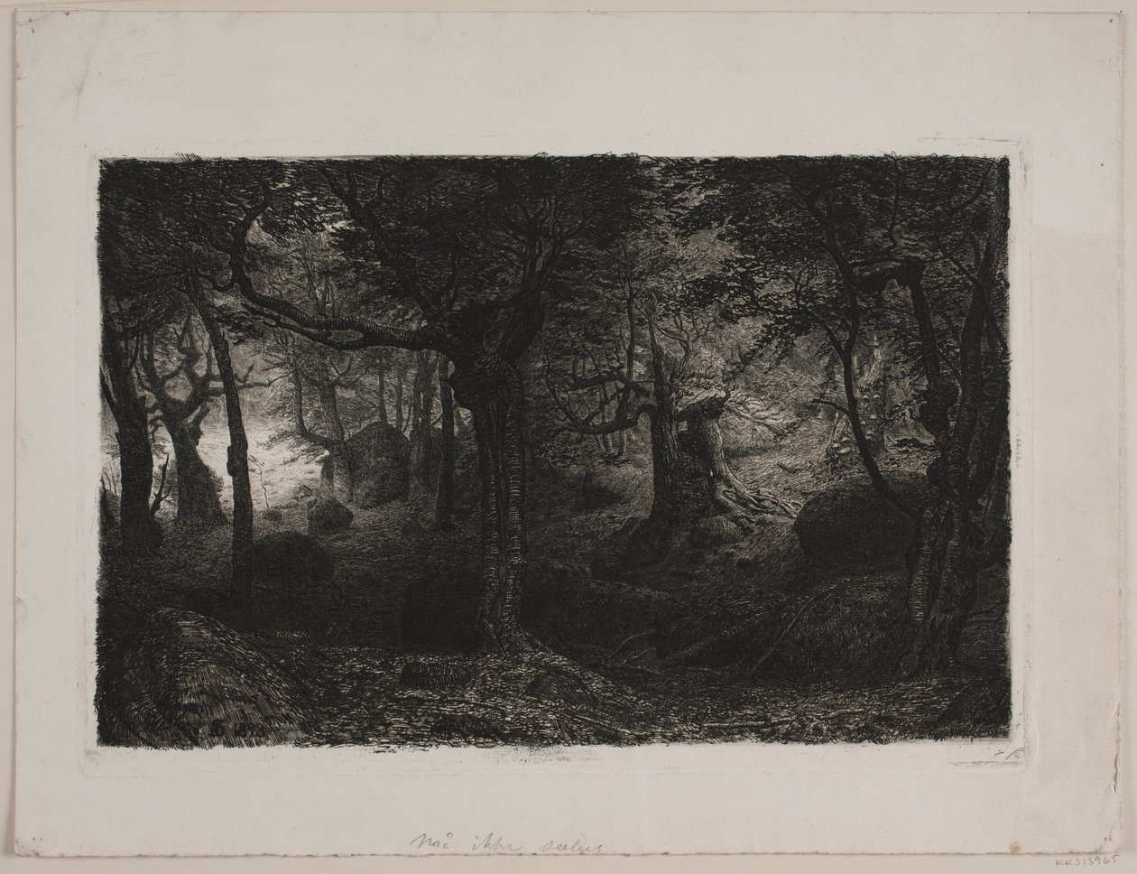 Der Trollwald von Niels Skovgaard