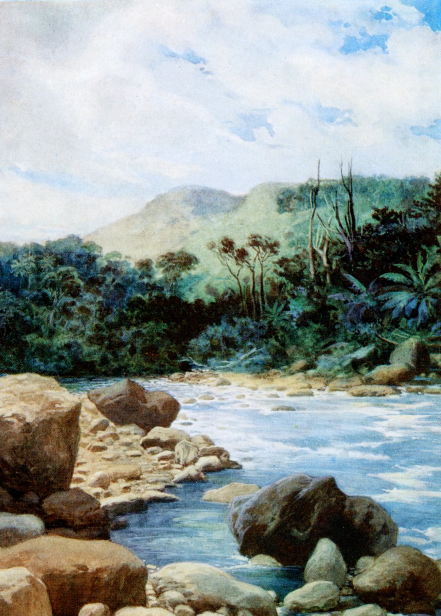 Landschaft in Eromanga, Neue Hebriden, 1908 von Norman Hardy