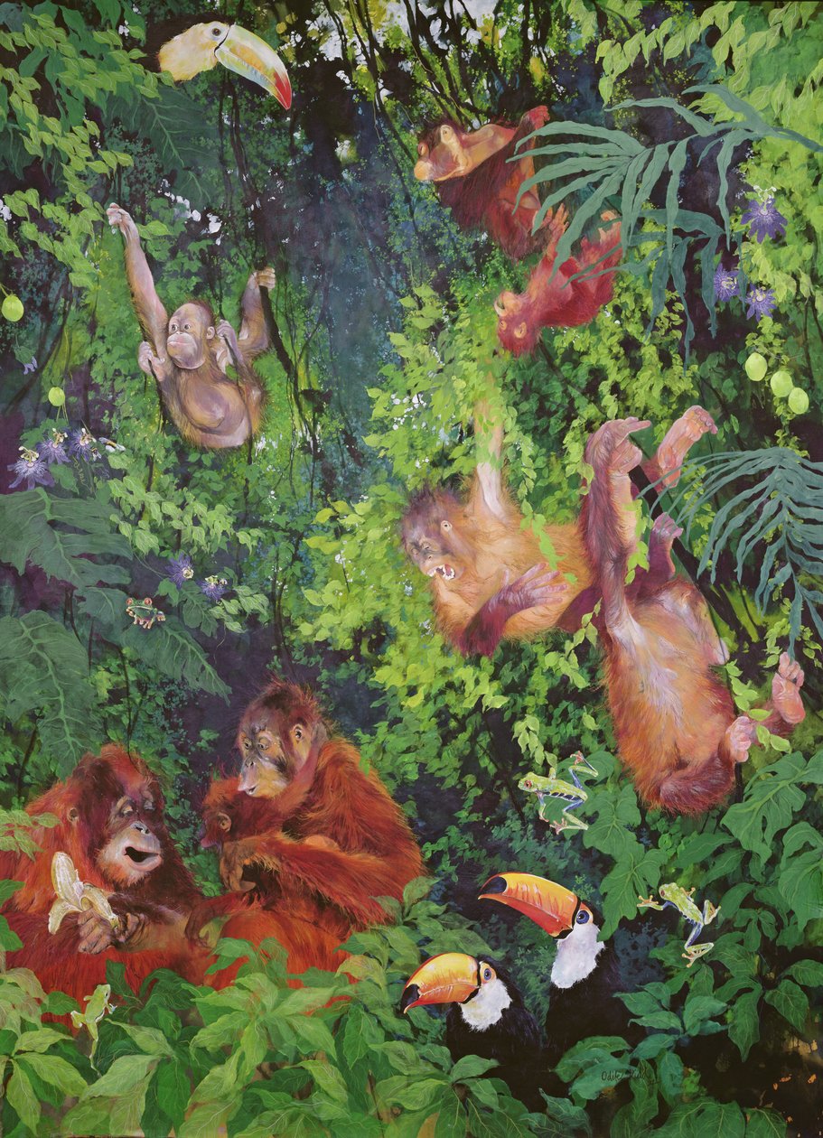 Orang-Utans und Tukane von Odile Kidd