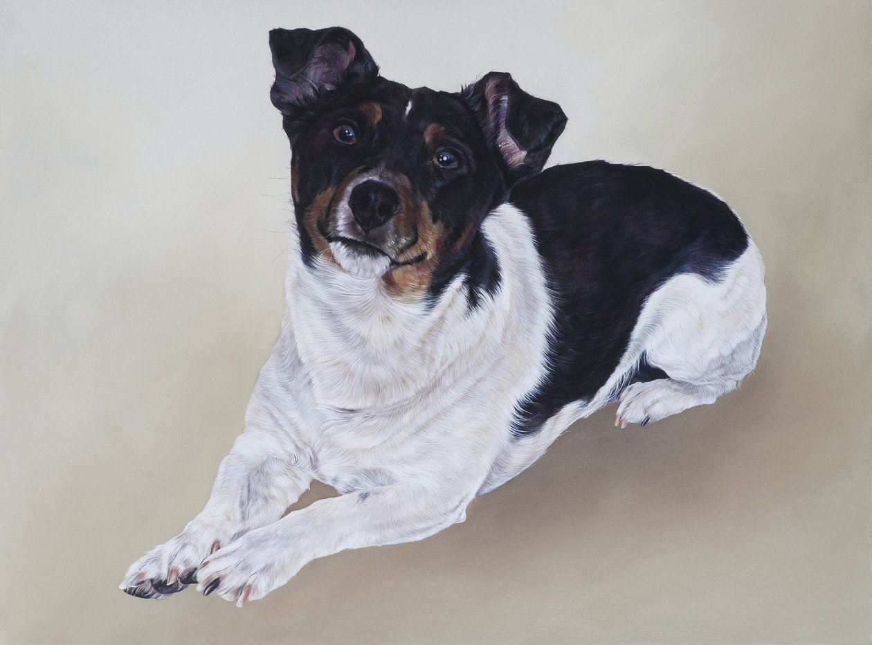 Spike, 2012 von Odile Kidd