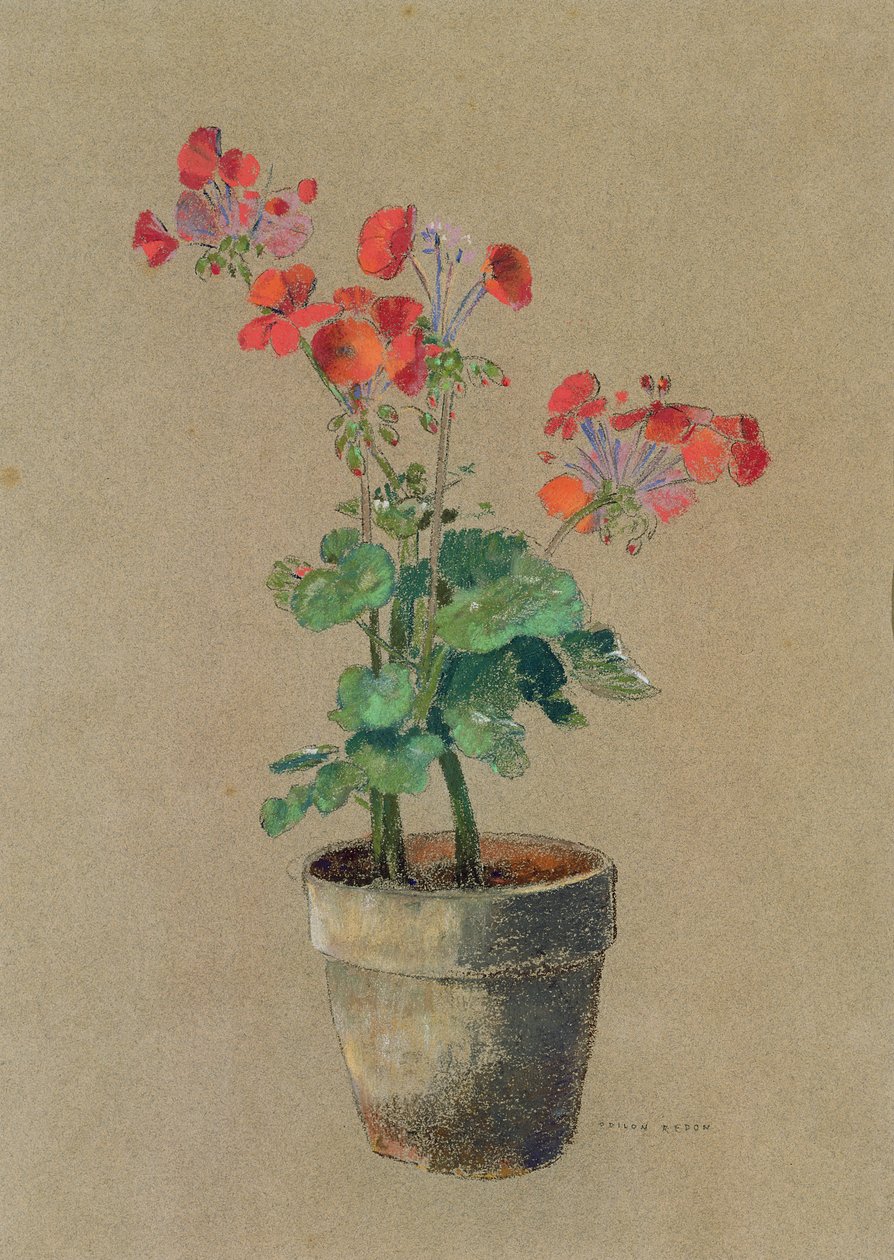 Geranien in einem Topf von Odilon Redon