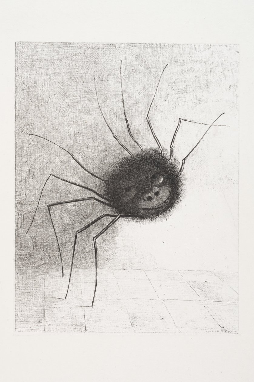 Lächelnde Spinne, ca. 1881 von Odilon Redon