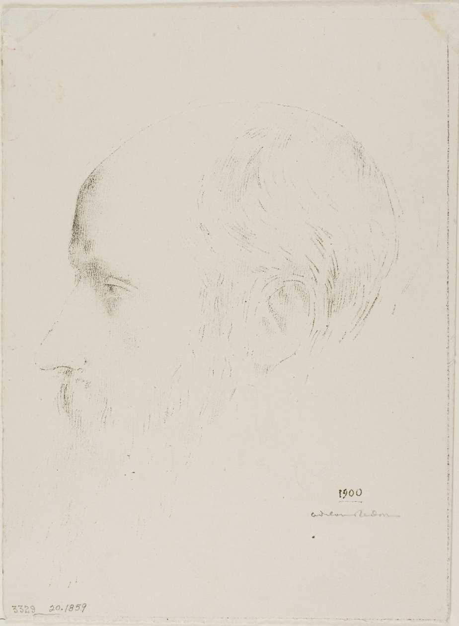 Edouard Vuillard von Odilon Redon