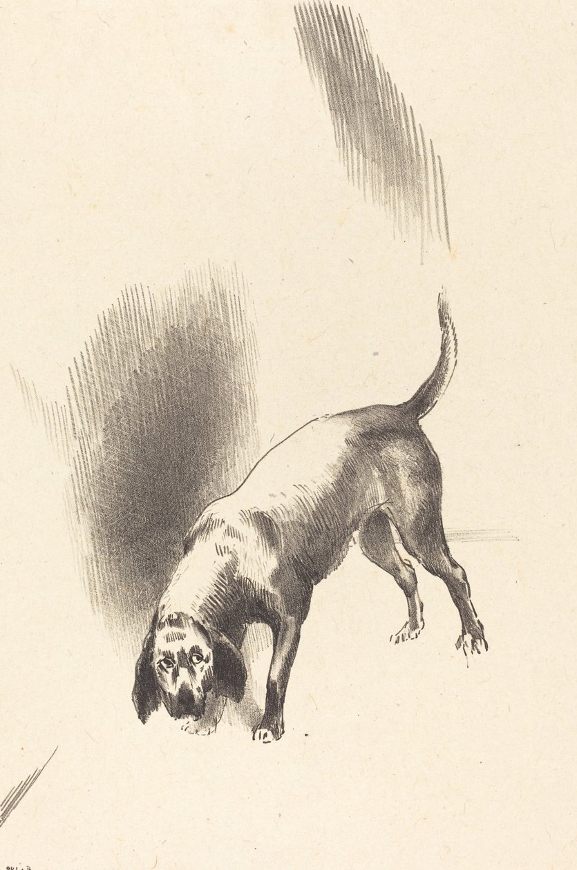 Der Hund von Odilon Redon