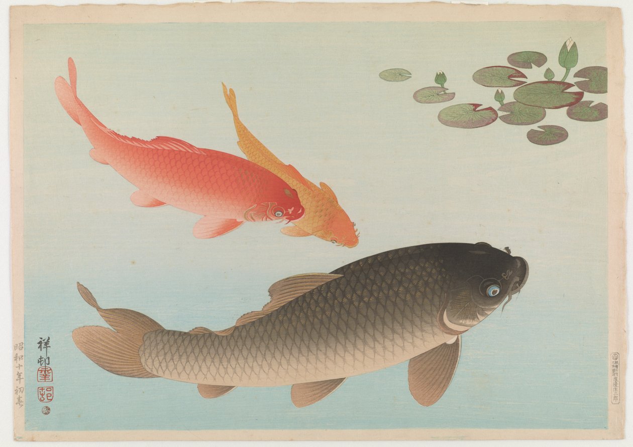 Karpfen, 1935 von Ohara Koson
