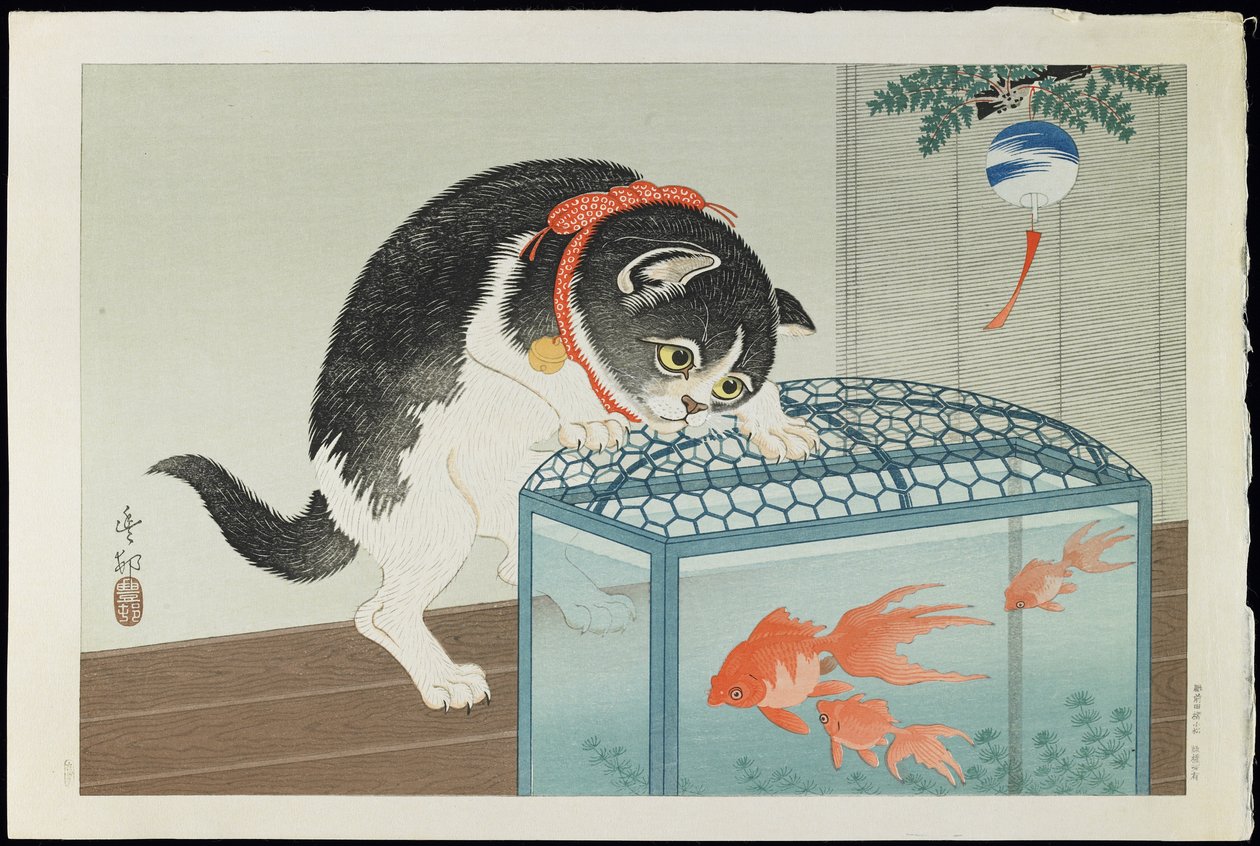 Katze und Goldfisch, 1930er Jahre von Ohara Koson